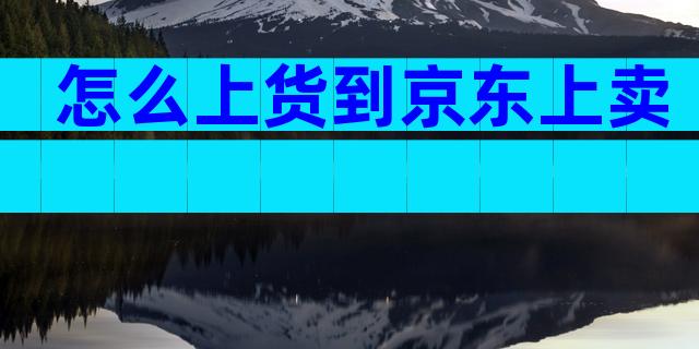 怎么上货到京东上卖