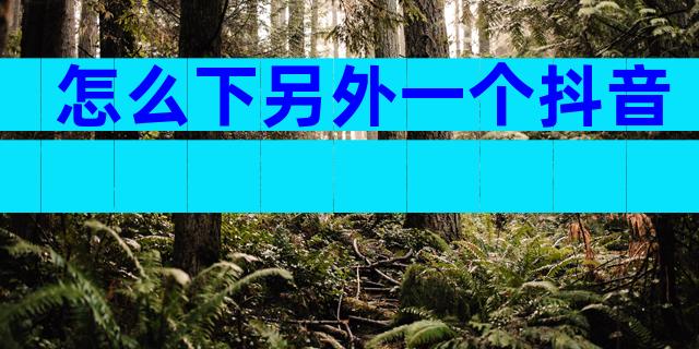 怎么下另外一个抖音