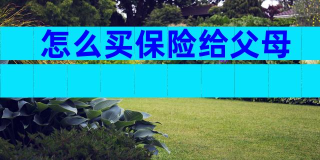 怎么买保险给父母