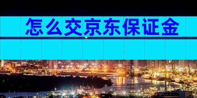 怎么交京东保证金