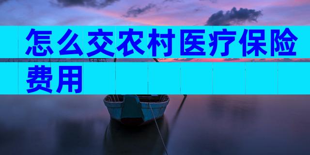 怎么交农村医疗保险费用