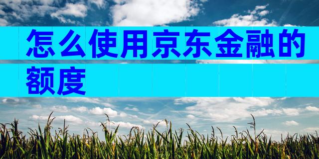 怎么使用京东金融的额度
