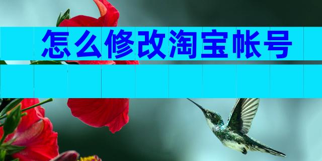 怎么修改淘宝帐号