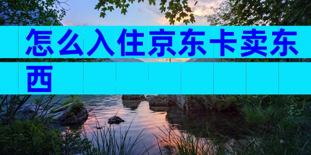 怎么入住京东卡卖东西