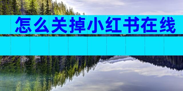 怎么关掉小红书在线