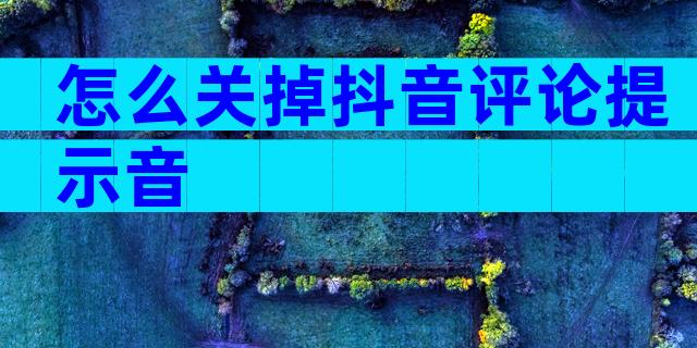 怎么关掉抖音评论提示音