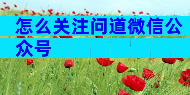 怎么关注问道微信公众号
