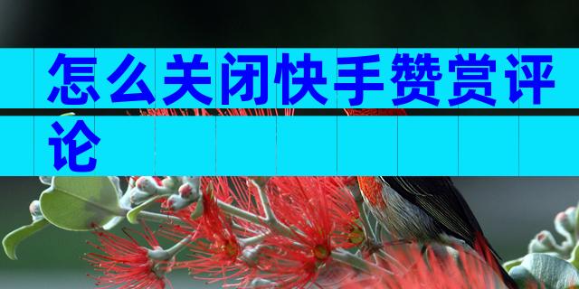 怎么关闭快手赞赏评论