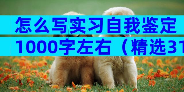怎么写实习自我鉴定1000字左右（精选31篇）