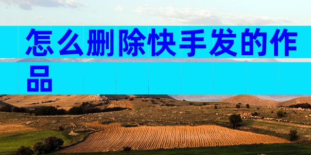 怎么删除快手发的作品