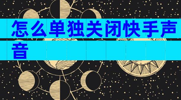 怎么单独关闭快手声音