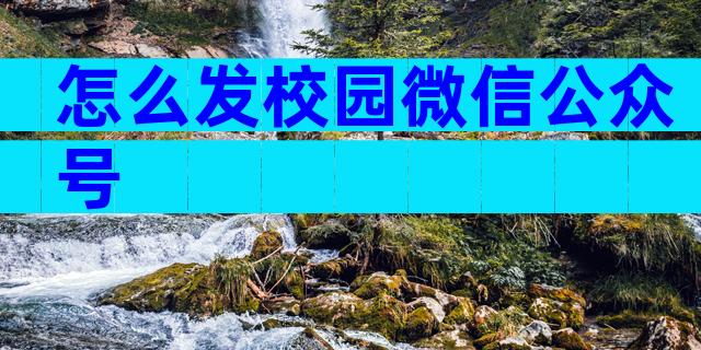 怎么发校园微信公众号