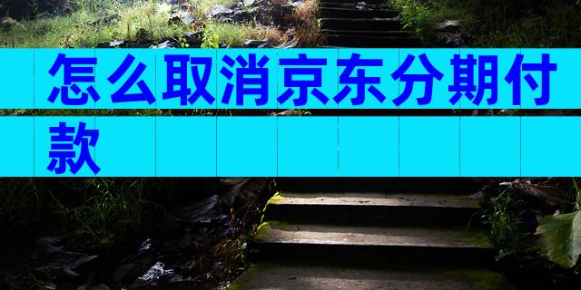 怎么取消京东分期付款