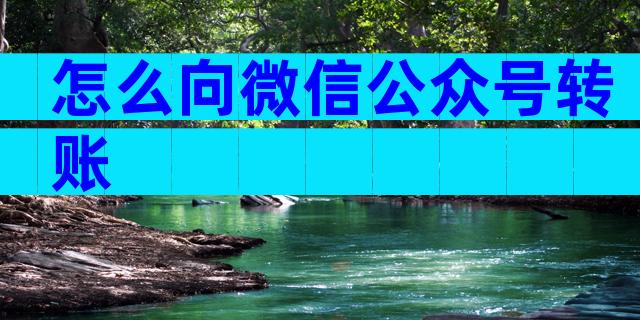 怎么向微信公众号转账