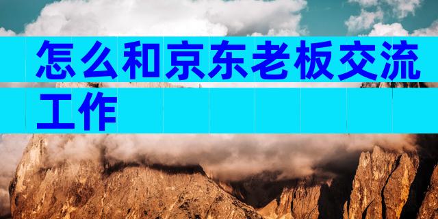 怎么和京东老板交流工作