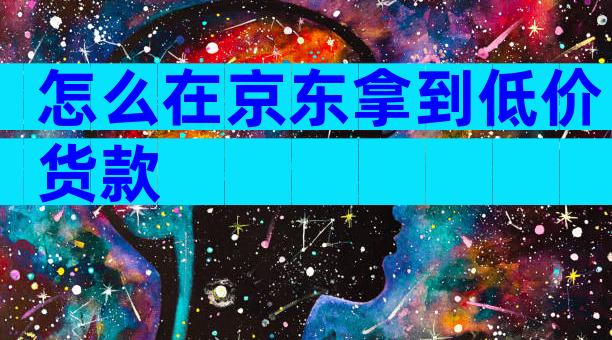 怎么在京东拿到低价货款