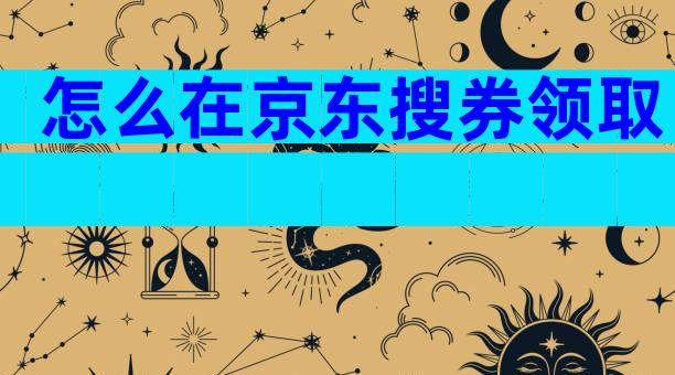 怎么在京东搜券领取