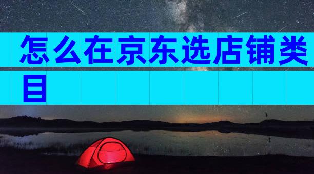 怎么在京东选店铺类目