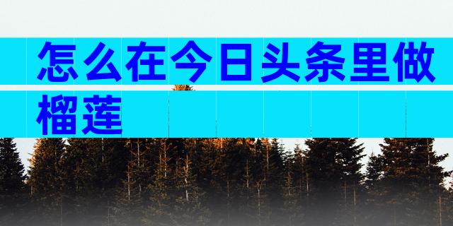 怎么在今日头条里做榴莲
