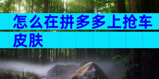 怎么在拼多多上抢车皮肤