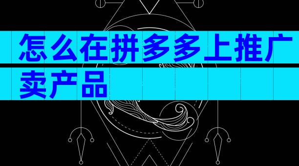 怎么在拼多多上推广卖产品
