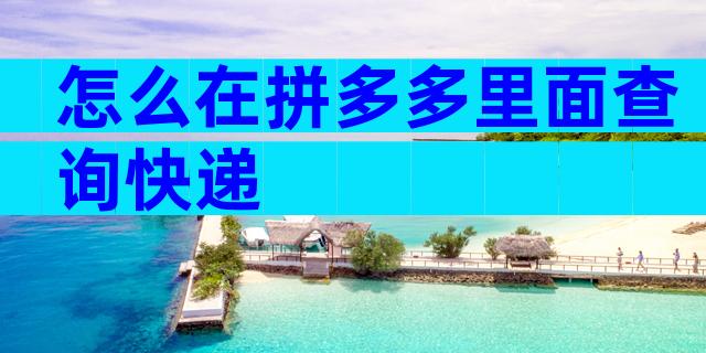 怎么在拼多多里面查询快递