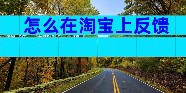 怎么在淘宝上反馈