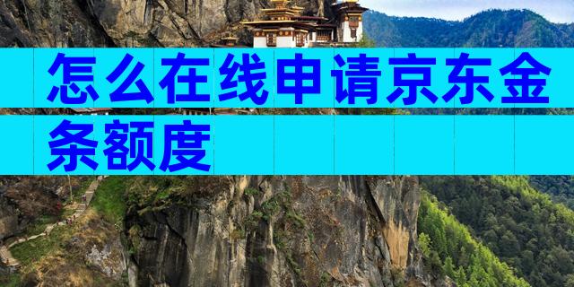 怎么在线申请京东金条额度