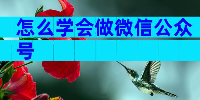 怎么学会做微信公众号
