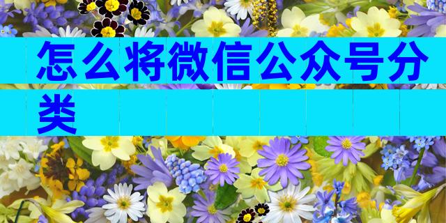 怎么将微信公众号分类