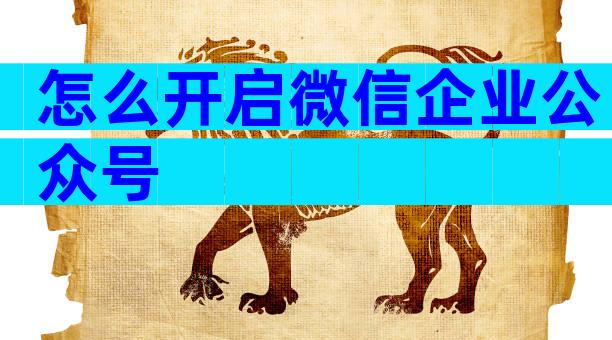 怎么开启微信企业公众号