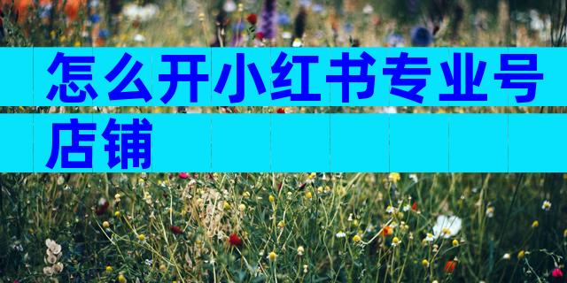 怎么开小红书专业号店铺