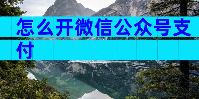 怎么开微信公众号支付