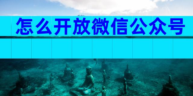 怎么开放微信公众号