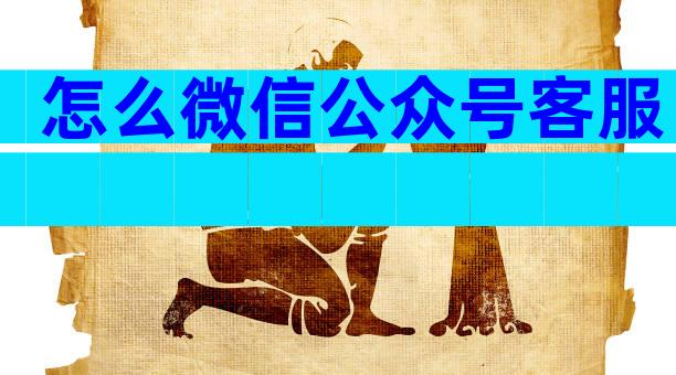 怎么微信公众号客服