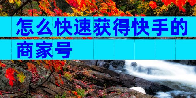 怎么快速获得快手的商家号