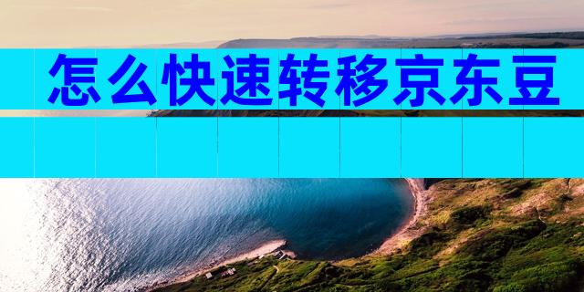 怎么快速转移京东豆