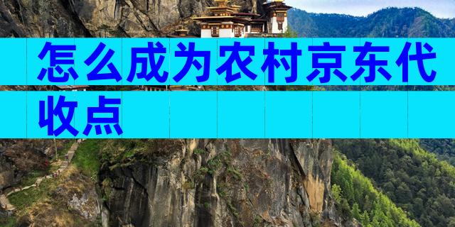 怎么成为农村京东代收点