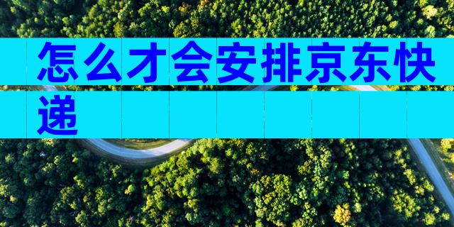 怎么才会安排京东快递