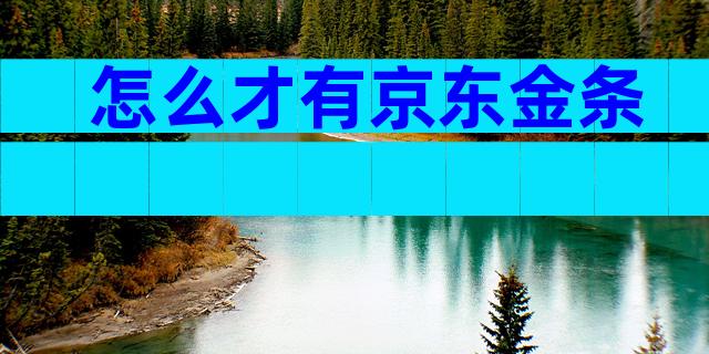 怎么才有京东金条