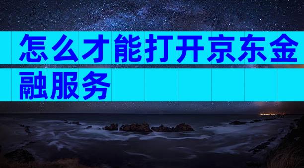 怎么才能打开京东金融服务