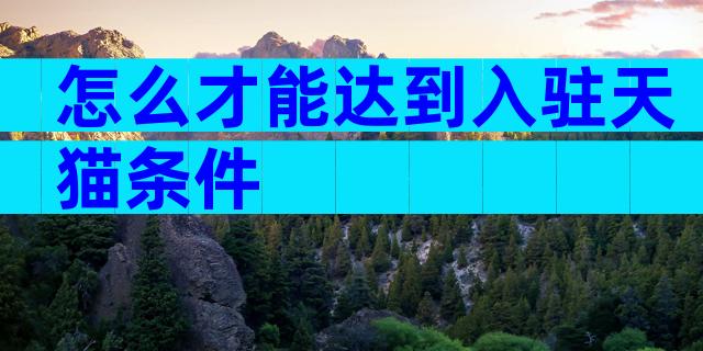 怎么才能达到入驻天猫条件