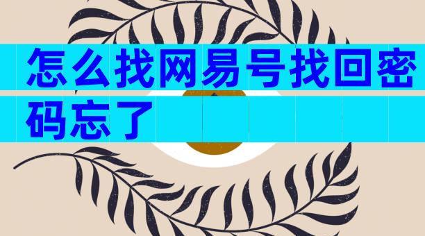 怎么找网易号找回密码忘了
