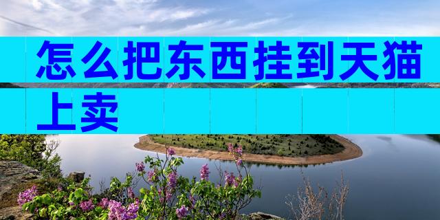 怎么把东西挂到天猫上卖