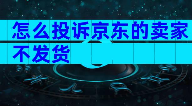 怎么投诉京东的卖家不发货