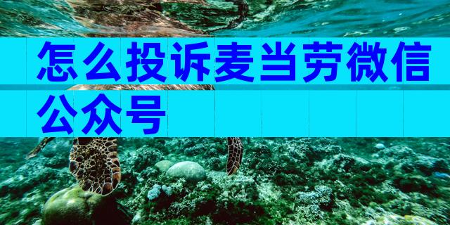 怎么投诉麦当劳微信公众号