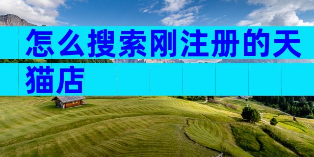 怎么搜索刚注册的天猫店