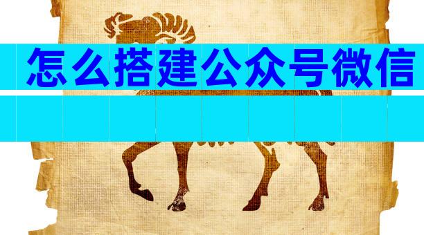 怎么搭建公众号微信