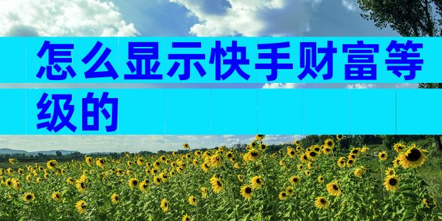 怎么显示快手财富等级的