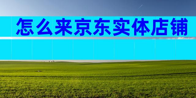 怎么来京东实体店铺